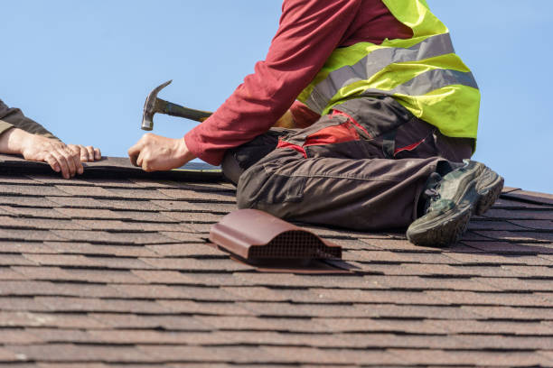 Best Roof Gutter Cleaning  in Muniz, TX