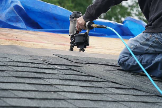 Best Roof Gutter Cleaning  in Muniz, TX